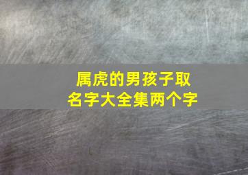 属虎的男孩子取名字大全集两个字