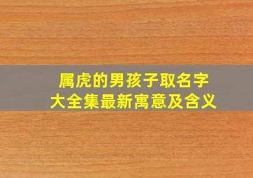 属虎的男孩子取名字大全集最新寓意及含义