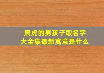 属虎的男孩子取名字大全集最新寓意是什么