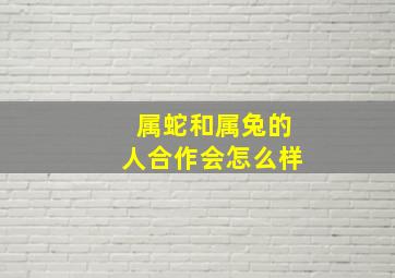 属蛇和属兔的人合作会怎么样