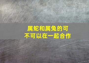 属蛇和属兔的可不可以在一起合作