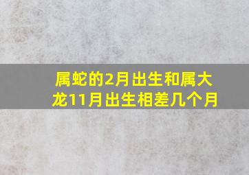 属蛇的2月出生和属大龙11月出生相差几个月