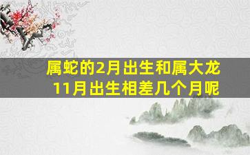 属蛇的2月出生和属大龙11月出生相差几个月呢