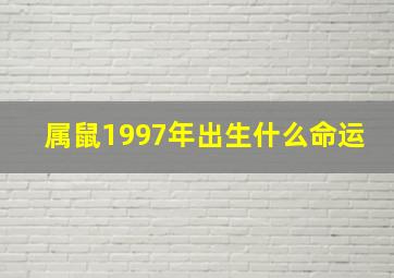 属鼠1997年出生什么命运