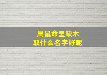 属鼠命里缺木取什么名字好呢