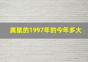 属鼠的1997年的今年多大