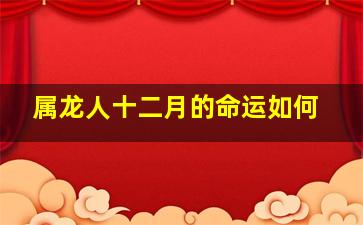 属龙人十二月的命运如何