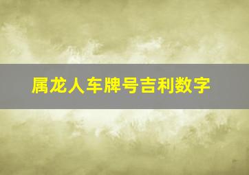 属龙人车牌号吉利数字