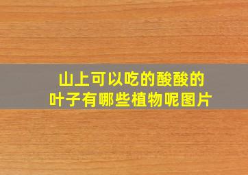 山上可以吃的酸酸的叶子有哪些植物呢图片