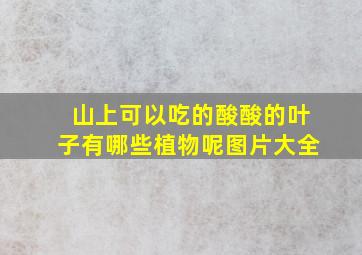 山上可以吃的酸酸的叶子有哪些植物呢图片大全