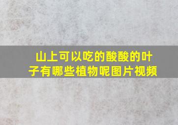 山上可以吃的酸酸的叶子有哪些植物呢图片视频