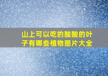 山上可以吃的酸酸的叶子有哪些植物图片大全