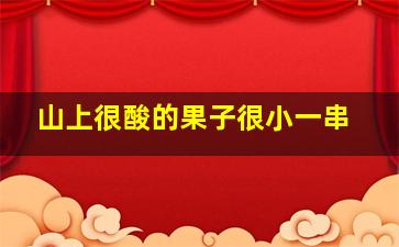 山上很酸的果子很小一串