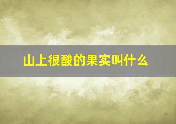 山上很酸的果实叫什么