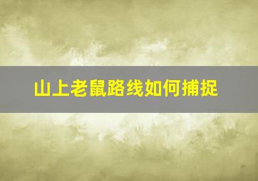 山上老鼠路线如何捕捉