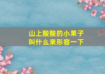 山上酸酸的小果子叫什么来形容一下