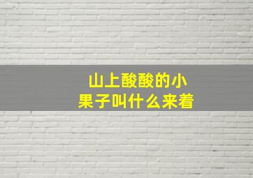 山上酸酸的小果子叫什么来着