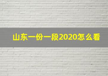 山东一份一段2020怎么看