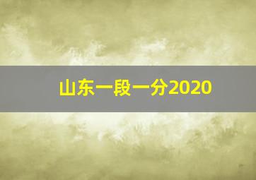 山东一段一分2020