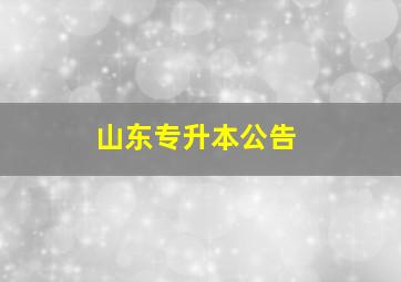 山东专升本公告