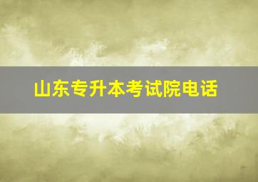 山东专升本考试院电话