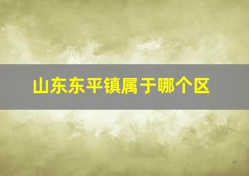 山东东平镇属于哪个区