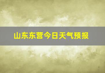 山东东营今日天气预报