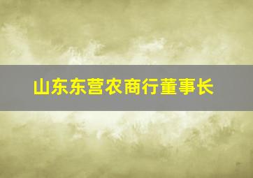 山东东营农商行董事长