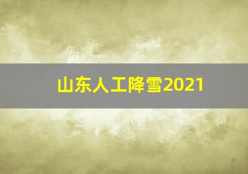 山东人工降雪2021