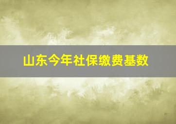 山东今年社保缴费基数