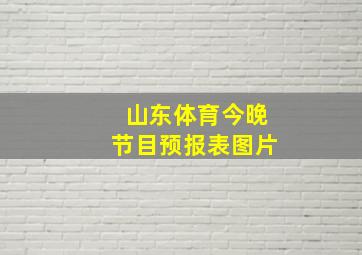 山东体育今晚节目预报表图片