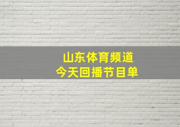 山东体育频道今天回播节目单