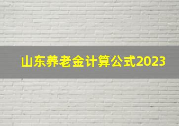 山东养老金计算公式2023