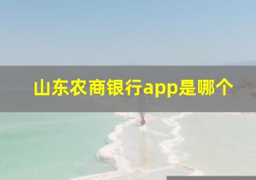 山东农商银行app是哪个