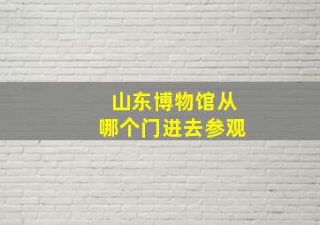 山东博物馆从哪个门进去参观