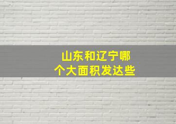 山东和辽宁哪个大面积发达些