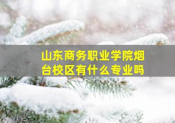 山东商务职业学院烟台校区有什么专业吗