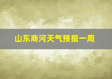 山东商河天气预报一周