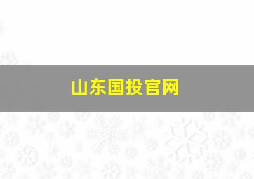 山东国投官网