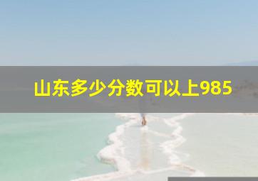 山东多少分数可以上985