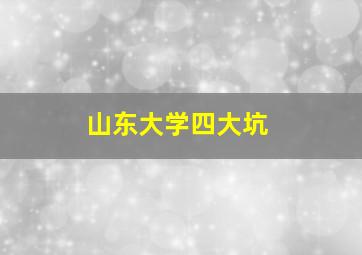 山东大学四大坑