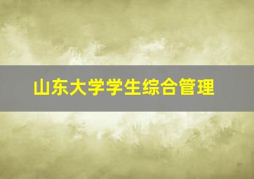 山东大学学生综合管理