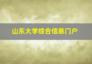 山东大学综合信息门户