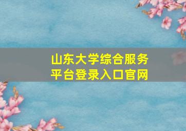 山东大学综合服务平台登录入口官网