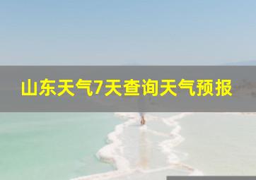 山东天气7天查询天气预报