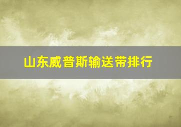 山东威普斯输送带排行