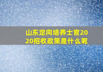 山东定向培养士官2020招收政策是什么呢