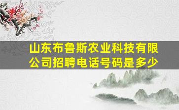 山东布鲁斯农业科技有限公司招聘电话号码是多少