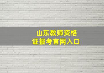 山东教师资格证报考官网入口