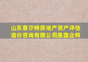 山东普尔特房地产资产评估造价咨询有限公司是国企吗